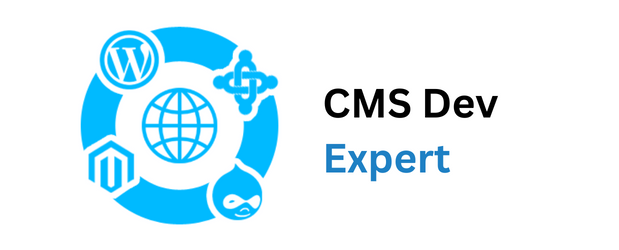 CMS Development Expert