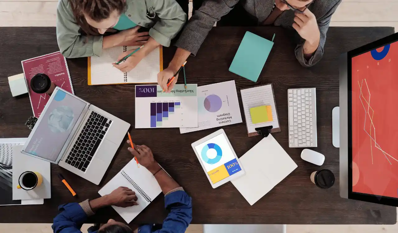 seo services for startups