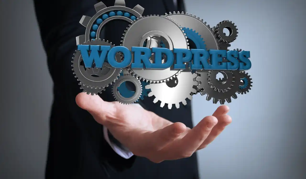 wordpress web development abu dhabi